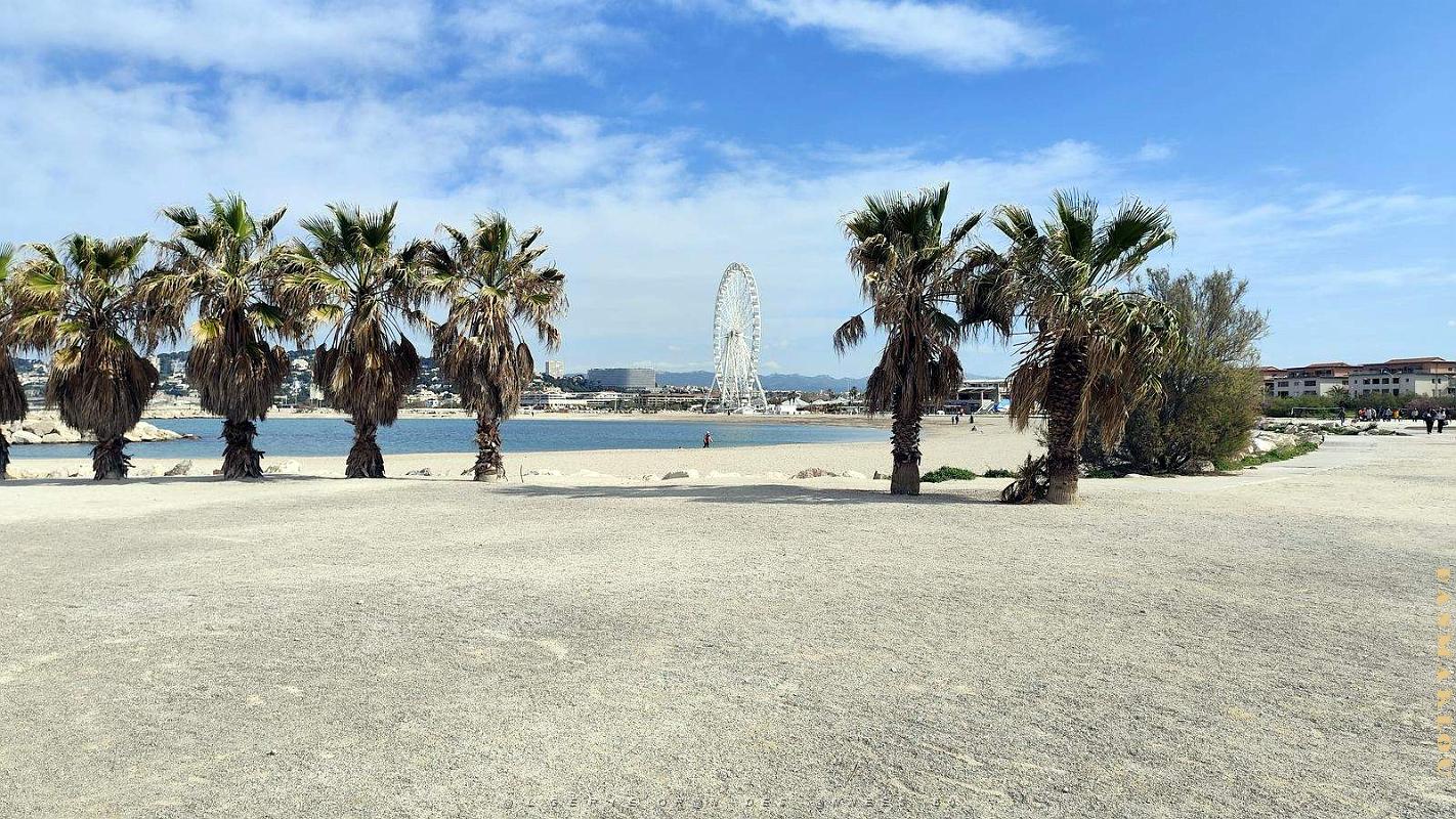 MARSEILLE - Plages Vieille-Chapelle-Prado - 3 avril 2025 - 21.jpg